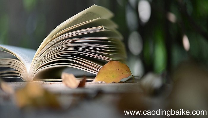 xi字读音的字有哪些 xi读音的字有哪些