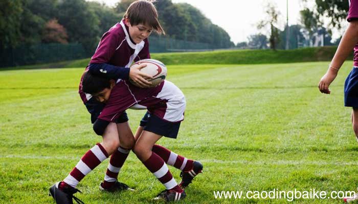 教育现代化内容有 教育现代化内容有哪些