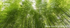 山居秋暝中以动衬静的诗句是 山居秋暝中以动衬静的诗句是哪一