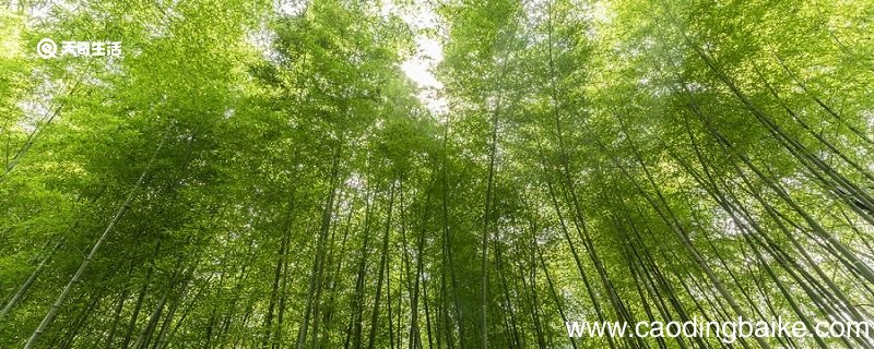 山居秋暝中以动衬静的诗句是 山居秋暝中以动衬静的诗句是哪一句