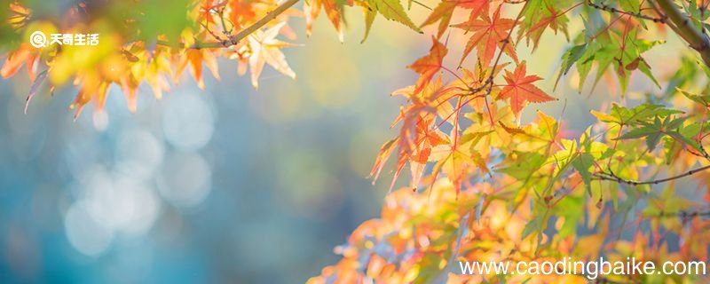 晴不知夏去 一雨方觉秋深是什么意思 晴不知夏去 一雨方觉秋深出自哪里