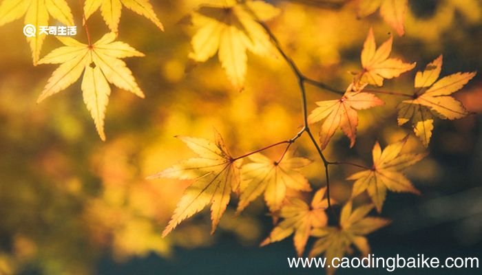 晴不知夏去 一雨方觉秋深是什么意思 晴不知夏去 一雨方觉秋深出自哪里