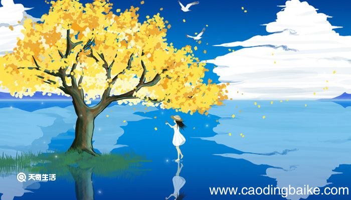 晴不知夏去 一雨方觉秋深是什么意思 晴不知夏去 一雨方觉秋深出自哪里