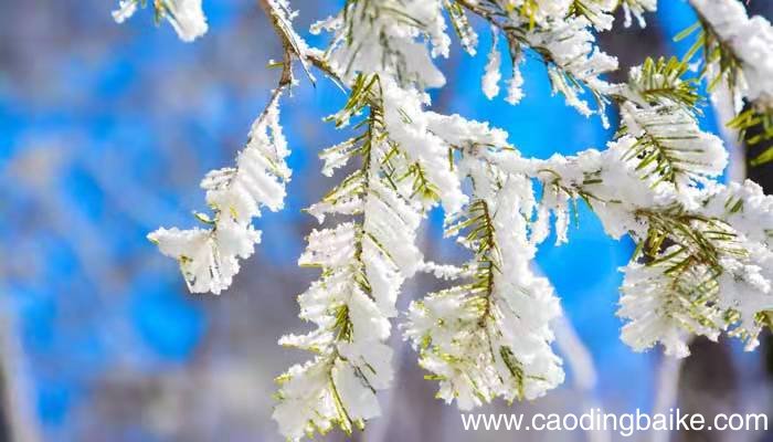 见余大喜曰湖中焉得更有此人翻译 见余大喜曰湖中焉得更有此人拉余同饮翻译