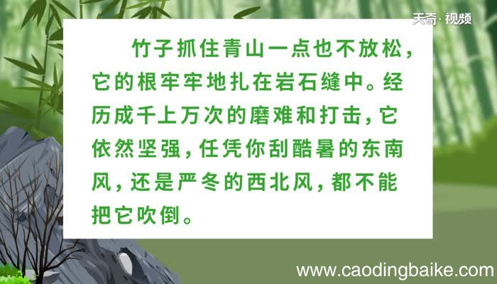 竹石翻译文竹石的意思