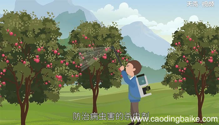 三氧化二砷是什么 什么是三氧化二砷