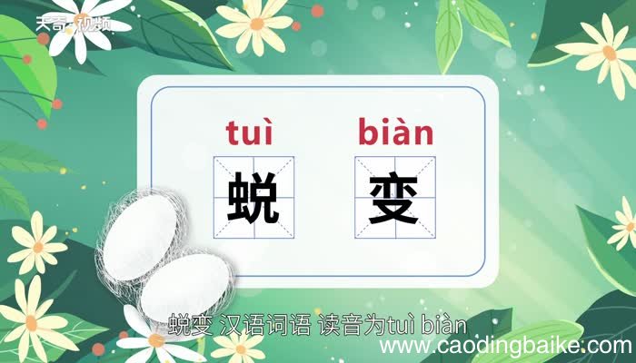 蜕变的意思 蜕变的意思是什么