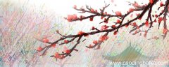 春色满园关不住,一枝红杏出墙来哲理 春色满园关不住,一枝红杏