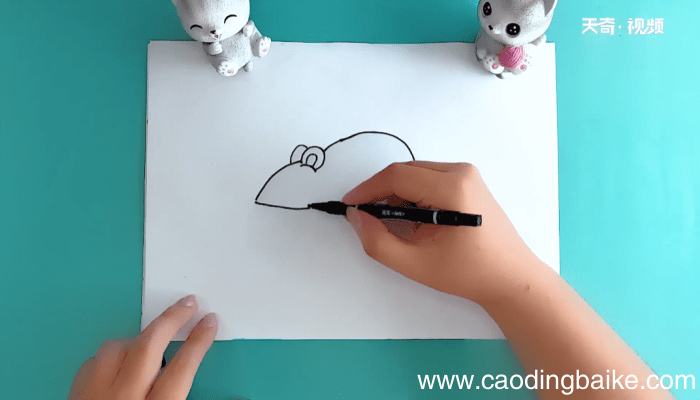 鼠简笔画 鼠简笔画报