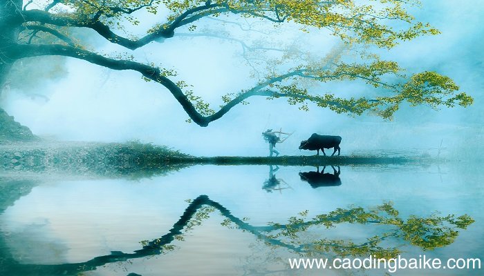 乡下人家课文描述哪六幅画面 乡下人家描绘了哪六幅画面