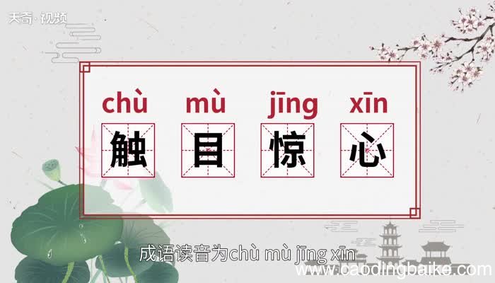 触目惊心的意思 触目惊心的出处