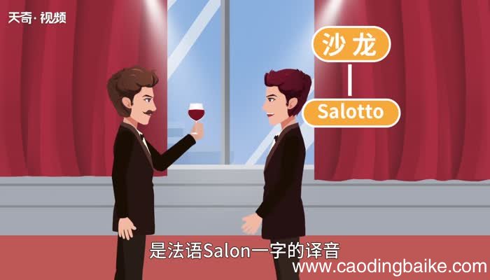 沙龙的意思 沙龙的意思是什么