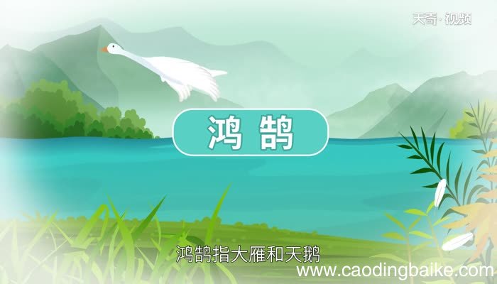 鹄怎么读 鹄字的读法