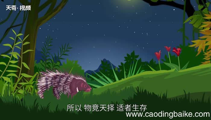 物竞天择适者生存是谁说的 物竞天择适者生存是什么时候提出的