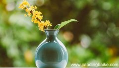 这里的桂花再香也比不上家乡院子里的桂花改为反问句 这里的桂