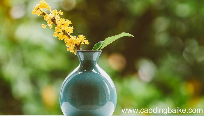 这里的桂花再香也比不上家乡院子里的桂花改为反问句 这里的桂花再香也比不上家乡院子里的桂花如何改为反问句