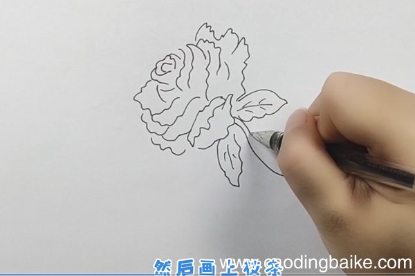牡丹简笔画
