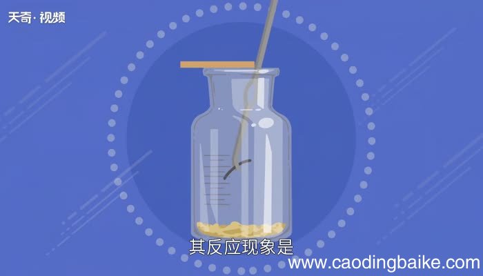 镁在二氧化碳中燃烧的化学方程式 镁在二氧化碳中燃烧的现象