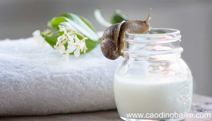 蜗牛的奖杯告诉我们一个什么道理 蜗牛的奖杯告诉了我们什么道理