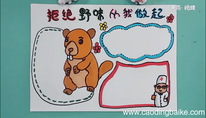 保护野生动物手抄报 保护野生动物手抄报画报