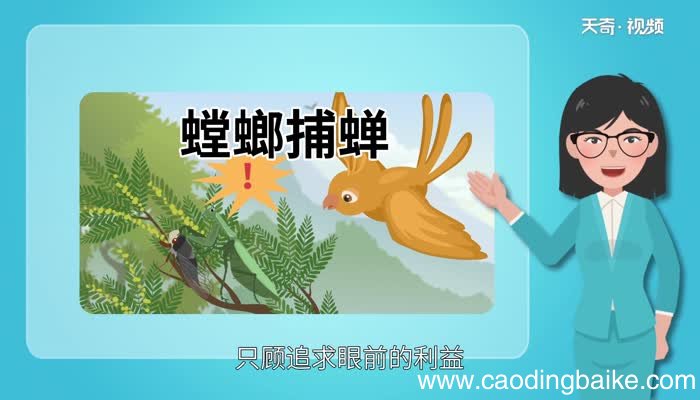 螳螂捕蝉告诉我们什么道理 螳螂捕蝉告诉我们的道理