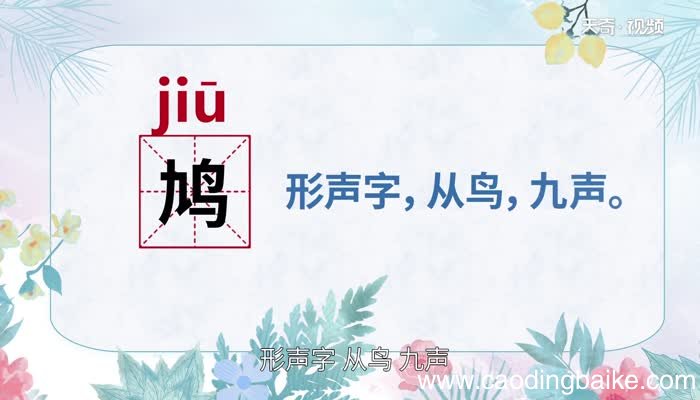 鸠怎么读 鸠的读法