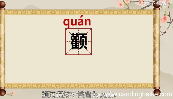 颧怎么读 颧的读法