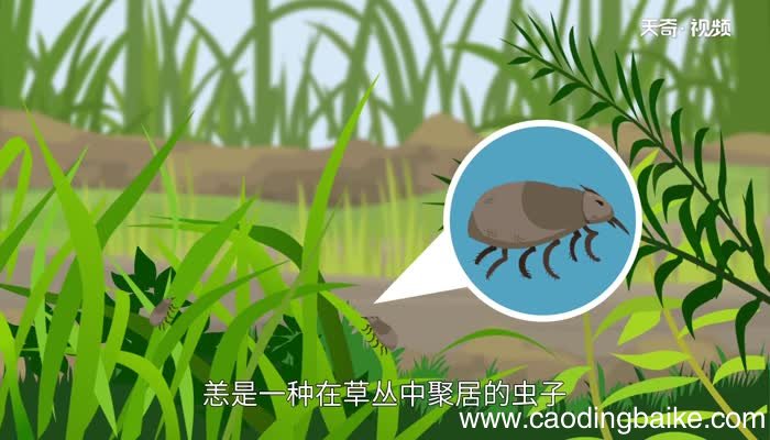 别来无恙的意思 别来无恙的意思是什么