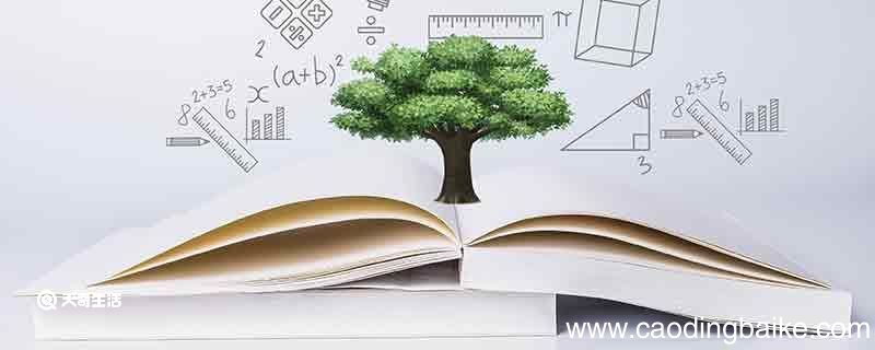 更美造句 更美的造句