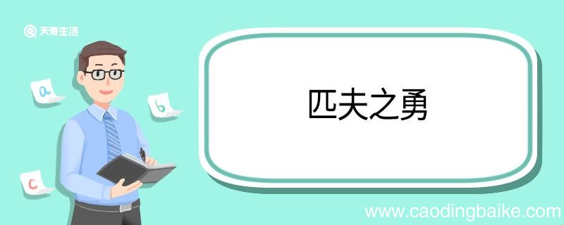 匹夫之勇造句 匹夫之勇的意思