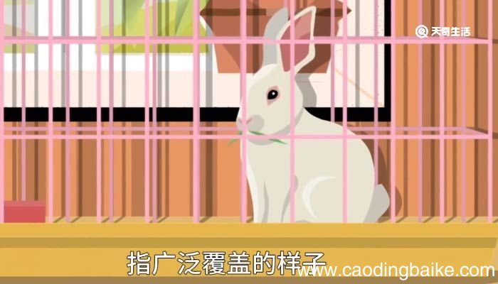 笼罩的意思 笼罩的意思造句