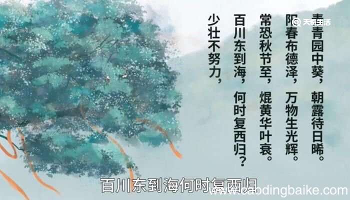 长歌行赏析 长歌行赏析诗歌