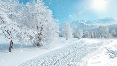 忽如一夜春风来千树万树梨花开的上一句是什么 忽如一夜春风来