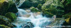 奔迸的什么填空 奔迸的什么填合适的词语