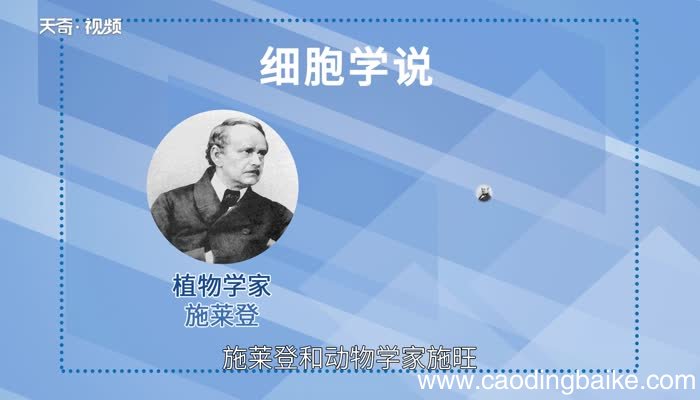 细胞学说的内容是什么细胞学说的主要内容