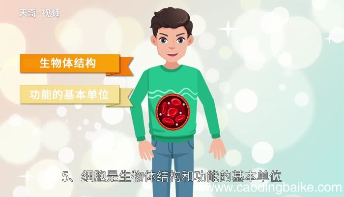 细胞学说的内容是什么细胞学说的主要内容