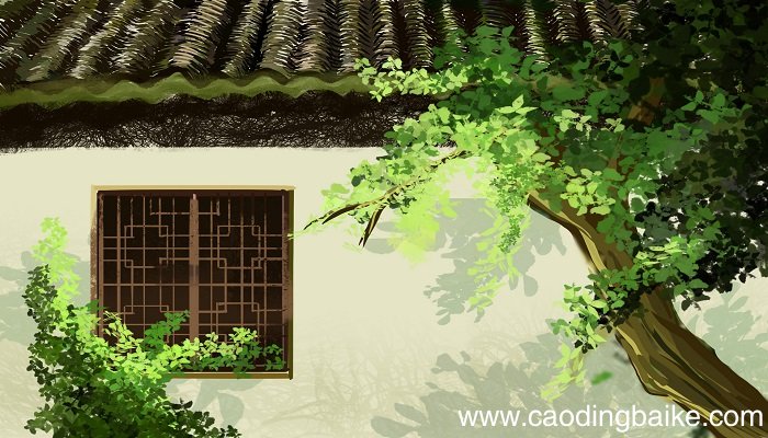 吃福橘出自朝花夕拾中的哪一篇 吃福橘出自鲁迅哪篇文章