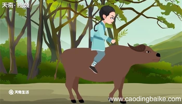 所见赏析 古诗所见赏析