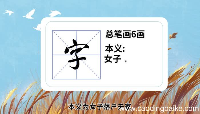 字的笔顺 字的笔顺是什么