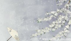 六年级下册寒食的意思是什么 寒食的意思是什么