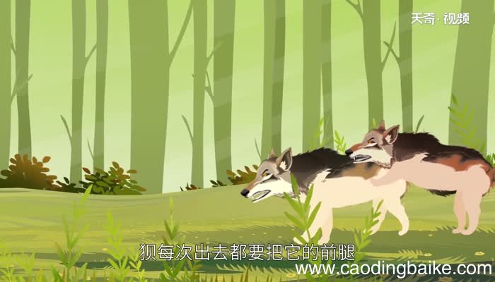 狼狈为奸的故事 狼狈为奸的意思