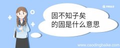 固不知子矣的固是什么意思 固不知子矣中的固的意思