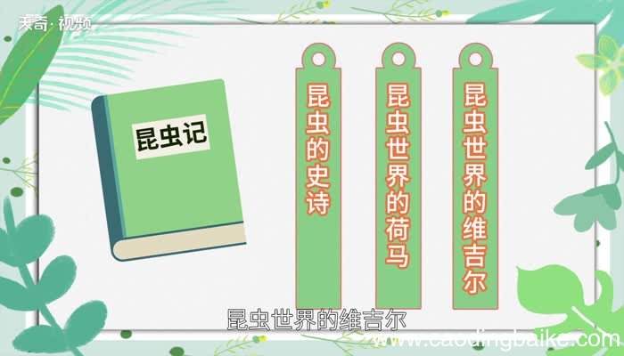 昆虫记被誉为什么 昆虫记被罗曼罗兰誉为