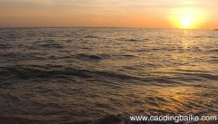 海滨小城的主要内容 海滨小城的主要内容是什么