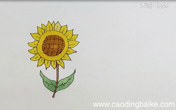向日葵图片简笔画