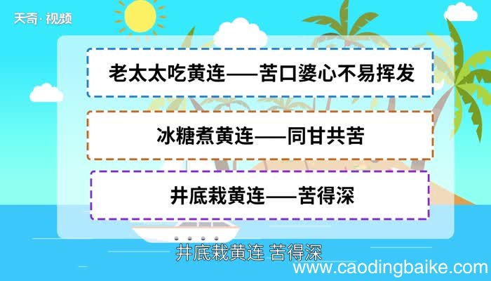 哑巴吃黄连歇后语 哑巴吃黄连歇后语下一句