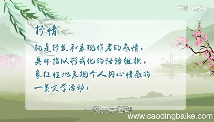 表达方式有哪些 有哪些表达方式