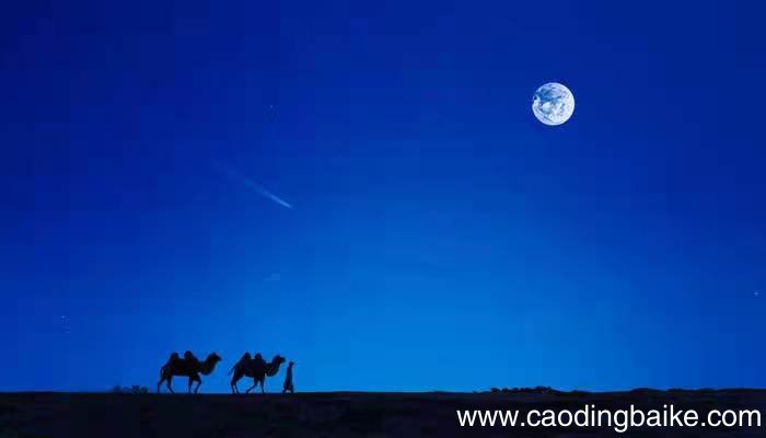 江枫月斜比喻什么意思 江枫月斜比喻的意思