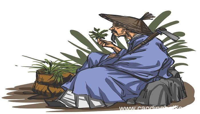 买油翁朗读 卖油翁朗读