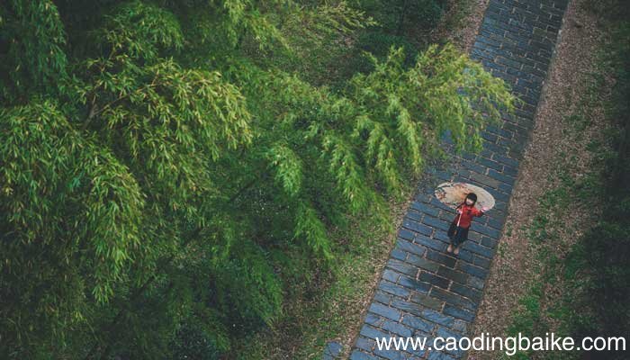 食者竹笋 庇者竹瓦翻译成现代汉语 食者竹笋 庇者竹瓦是谁写的